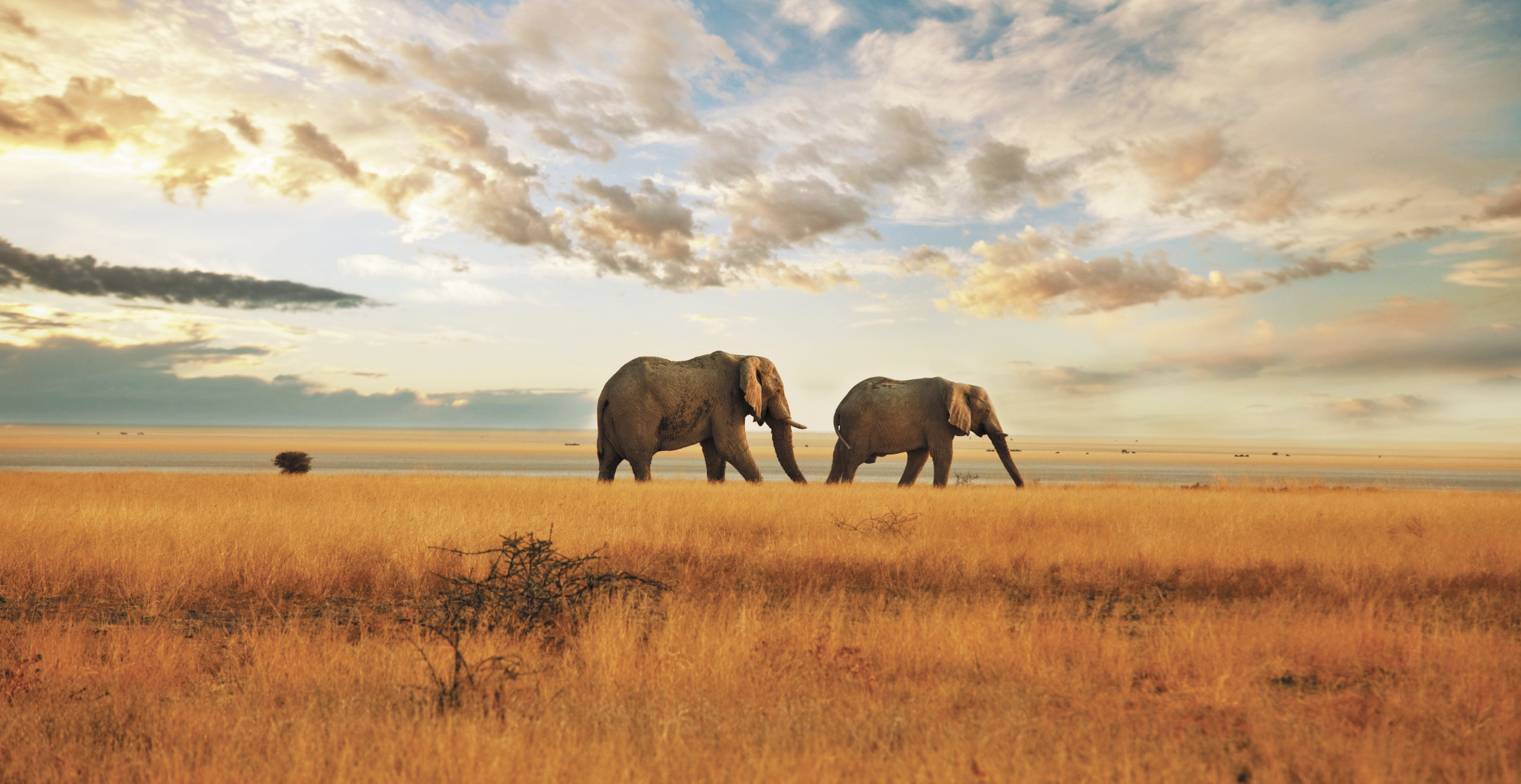 IMMERSIVE EXPLORATION